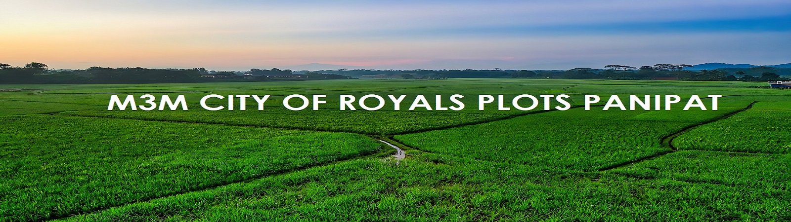  M3M City Of Royals Plots Panipat Banner Image